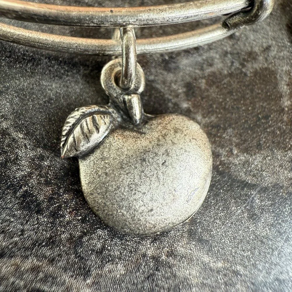 Alex and Ani Apple Charm Bracelet Silver Nature Expandable Bangle - Picture 6 of 14